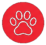 Pet Services