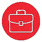 Professional Services